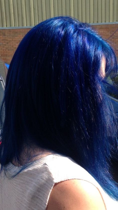 Dark Vibrant Blue Hair, Bright Dark Blue Hair, All Over Blue Hair Color, Tinted Blue Hair, Vibrant Blue Hair Color, Blueberry Blue Hair, Electric Blue Hair Color, All Blue Hair, Electric Blue Hair Aesthetic