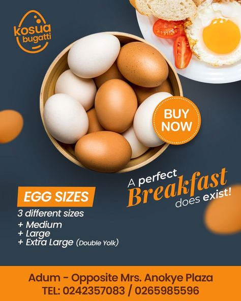 Egg Business, Benefits Of Eating Eggs, Butcher Box, Feeding Program, Egg Packaging, Egg Shop, Perfect Eggs, Chicken Cages, Scary Animals