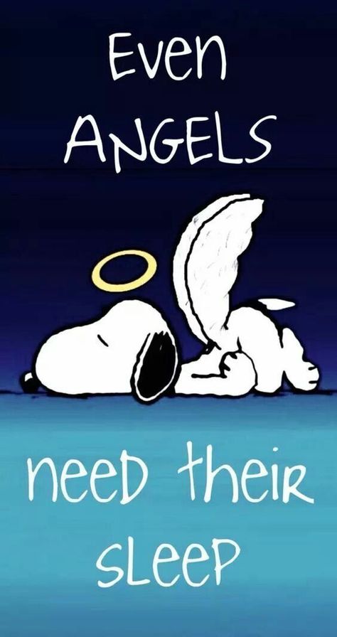 Even Angels Need Their Sleep Pictures, Photos, and Images for Facebook, Tumblr, Pinterest, and Twitter Goodnight Snoopy, Charlie Brown Quotes, Snoopy Funny, Snoopy Images, Peanuts Cartoon, Snoopy Wallpaper, Snoopy Quotes, Snoopy Pictures, Ange Demon