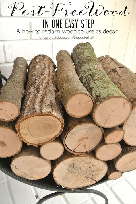 How to Kill Bugs in Wood: My FREE Decorative Logs How To Dry Wood Slices, How To Dry Wood, Wood Log Crafts, Log Projects, White Brick Fireplace, Kill Bugs, Dry Branch, Birch Logs, Blogger Home