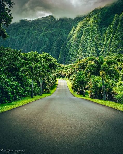 Hawaii Landscape, Hawaii Wall Art, Tropical Rainforest, Oahu Hawaii, Lush Green, Oahu, Lush, Hawaii, Country Roads