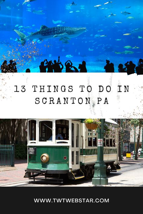 Looking for something different to do in Scranton PA? Check out these 13 unique ideas that will show you a side of the city that you may not have known existed. From exploring downtown to getting outdoors, there's something for everyone here. So what are you waiting for? Start planning your trip today! Things To Do In Scranton Pa, Pa Bucket List, Unique Things To Do In Boston, What To Do In Pittsburgh Pa, Things To Do In Kitty Hawk Nc, Scranton Pa, Indoor Things To Do, Neo Gothic Architecture, K9 Training