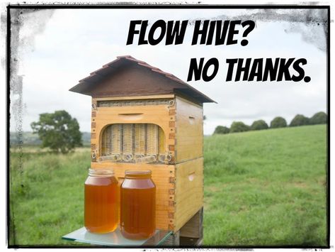 Diy Flow Hive Plans, Flow Bee Hive, Bee Hive Garden, Flow Hive Beekeeping, Home Bee Hive, Apiary Design, Bee Hive Stand, Bee Hive Kits, Honey Bee Farming