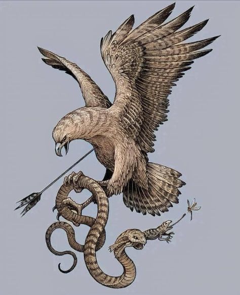 Eagle And Snake Drawing, Bird Snake Tattoo, Eagle Holding Snake Tattoo, Eagle Snake Tattoo, Eagle And Snake Tattoo, Eagle With Snake, Eagle And Snake, Goth Stickers, Eagle Snake