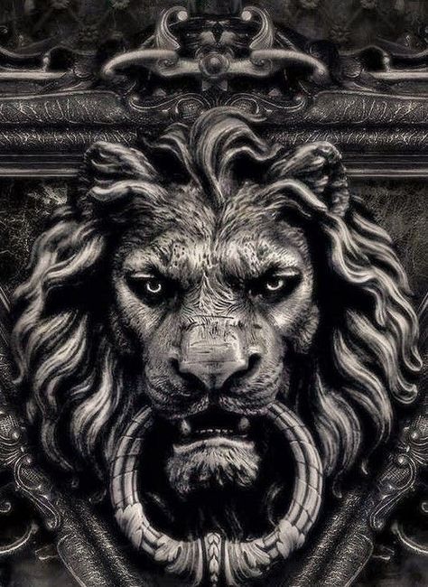 Lion, Black And White, Frame, White, Black