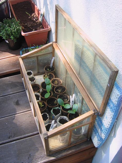 Balcony-sized greenhouse Balcony Greenhouse, Apartment Porch, Herb Box, Roof Gardens, Herb Boxes, Diy Balcony, Indoor Greenhouse, Urban Farmer, Green Inspiration