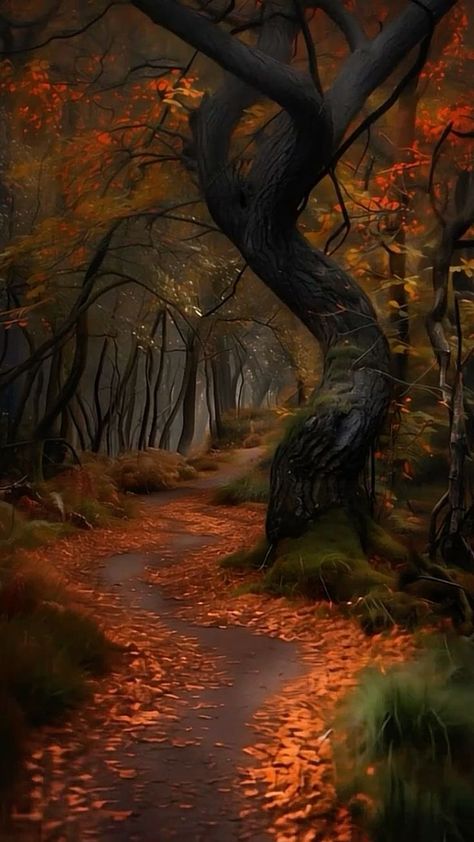 Rain Road, Autumn Things, Christmas Nature, Orange Room, Autumn Evening, Halloween Wallpaper Cute, Mystical Forest, Landscape Photography Nature, Fantasy Forest