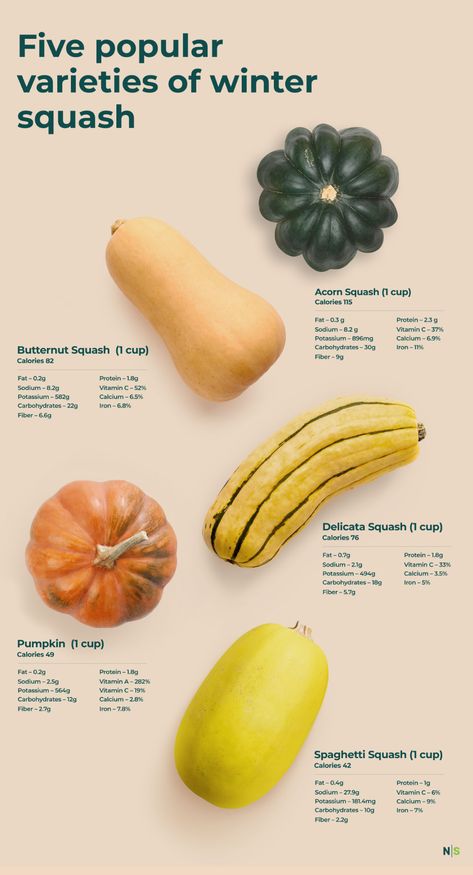 Lectins Free Food List, Benefits Of Squash, Squash Benefits, Health Benefits Of Beans, Cozy Winter Recipes, Buttercup Squash, Fall Meals, Winter Veggies, Professional Cooking