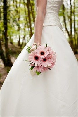 Taken from our Gerbera package Gerber Daisy Bouquet Wedding, Gerbera Bridal Bouquet, Daisy Bouquet Wedding, Gerbera Wedding, Gerbera Daisy Wedding, Gerbera Daisy Bouquet, Bright Wedding Bouquet, Gerbera Bouquet, Small Wedding Bouquets