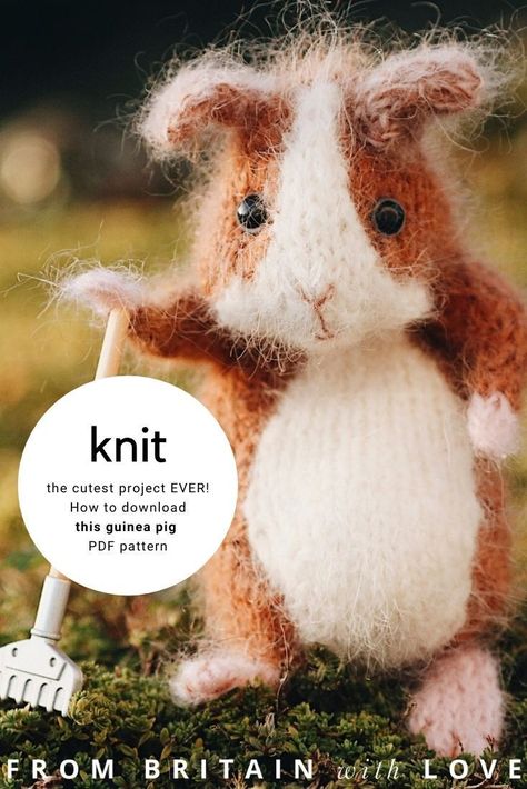 Knitted Animal Patterns Free, Pig Knitting Pattern Free, Knitted Animals Free Patterns, Knitted Animals Free Patterns Easy, Easy Knitting Patterns Free Beginner, Free Knitting Patterns Toys, Knitted Gifts Ideas, Pig Knitting Pattern, Free Pattern Knitting