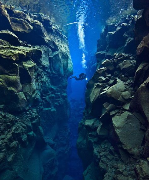 Between the North American and Eurasian tectonic plates near Iceland; the area is riddled with faults, valleys, volcanoes and hot springs, caused by the plates pulling apart at about one inch per year. (Alexander Mustard) Tectonic Plates, Bawah Air, Under The Water, Ocean Eyes, Australian Travel, Image Nature, Plate Tectonics, Sea Photo, Underwater Photos