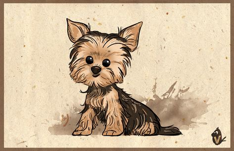 Yorkie Cartoon Drawing, How To Draw A Yorkie, Yorkie Terrier Drawing, Yorkie Drawings, Yorkie Drawing, Cartoon Yorkie, Yorkie Tattoo, Yorkie Illustration, Small Dog Drawing