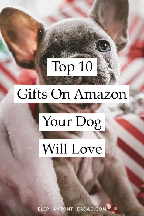 Dog Christmas Present Ideas, Dog Birthday Gift Basket, Dog Christmas Presents Gift Ideas, Birthday Gifts For Dogs, Dog Gifts For Christmas, Christmas Gifts For Dogs Ideas, Dog Present Ideas, Gift Ideas For Dogs, Dog Christmas Gift Ideas