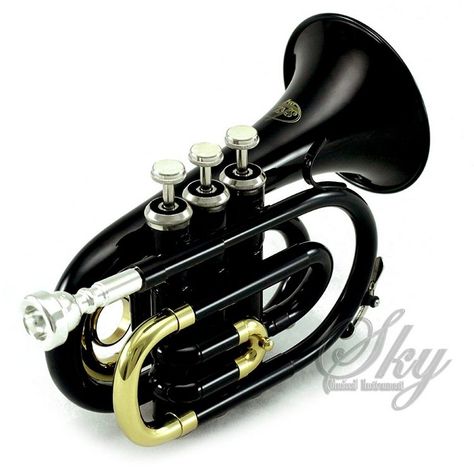 The Sky Band Approved Brass Bb Pocket Trumpet is a great instrument, but is it right for you? Read our detailed review to find out why it might not... Pocket Trumpet, Hand Percussion, Brass Instruments, Trumpet Players, Drum Heads, Amazon Top, Fantasy Gifts, Nickel Plating, School Band