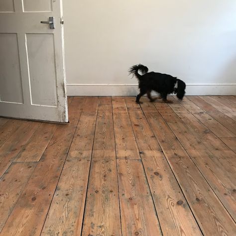 Victorian Floorboard Restoration with Osmo Oil Polyx Raw - Kezzabeth | DIY & Renovation Blog Floorboard Restoration, Osmo Oil, Walnut Floors, Brown Floors, Truth Be Told, Victorian Cottage, Small Tins, Diy Renovation, Dark Stains