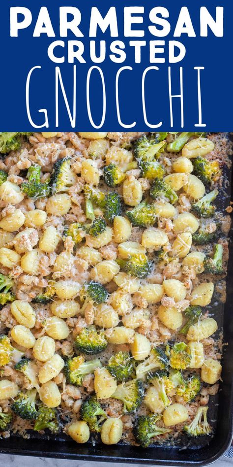 This Parmesan Crusted Gnocchi with Broccoli and White Beans is a quick and easy vegetarian sheet pan dinner! You only need a few ingredients to throw this delicious meal together. The parmesan, white beans and broccoli add protein and the potato gnocchi will keep you nice and full. Serve with a side salad and bread for a hearty dinner. #sheetpanmeal #gnocchirecipe #glutenfree #vegetarian Gnocchi With Broccoli, Vegetarian Sheet Pan, Gnocchi Parmesan, Beans And Broccoli, Cooking Vegetarian, Gluten Free Gnocchi, Parmesan Broccoli, Easy Sheet Pan Dinners, Potato Gnocchi