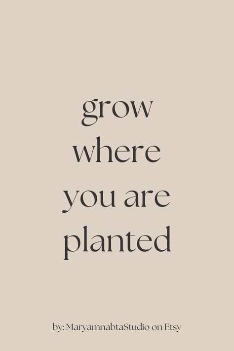 grow where you are planted quotes of the day, printable on etsy Grow Where You Are Planted Quote, Grow Where You Are Planted, Grow Typography, Something New Quotes, Life Quotes Happy, Plant Quotes, Quotes Popular, Quotes Wise Words, Growing Quotes