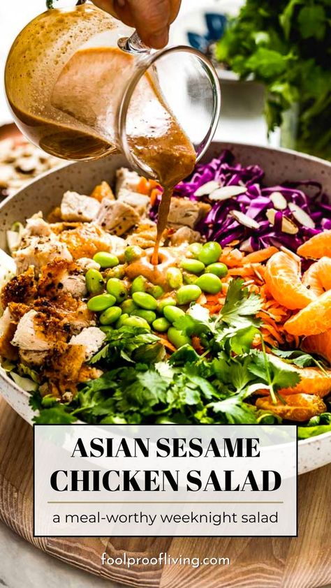 Asian Sesame Chicken Salad in a bowl with sauce. Asian Sesame Chicken Salad, Sesame Chicken Salad Recipe, Asian Sesame Chicken, Sesame Chicken Salad, Sesame Vinaigrette, Asian Cabbage Salad, Asian Salad Recipe, Warm Salad Recipes, Chicken Dressing