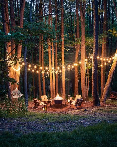 Woods Backyard Ideas, Forest Backyard, Forest Landscaping, Wooded Backyard Landscape, Forest Yard, Indoor Fire Pit, Outdoor String Lights Patio, Backyard Gardens, Adirondack Chairs Patio