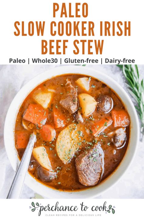 Slow Cooker Irish Beef Stew, Irish Beef Stew Recipe, Gluten Free Beef Stew, Paleo Beef Stew, Irish Beef Stew, Paleo Slow Cooker, Irish Beef, Paleo Soup, Adult Lunches