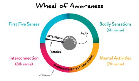 Dr. Dan Siegel's Wheel of Awareness - Garrison Institute Wheel Of Awareness, Ucla School Of Medicine, Dan Siegel, Whole Brain Child, Self Organization, Complex Systems, Strong Mind, Human Relationship, Therapy Ideas