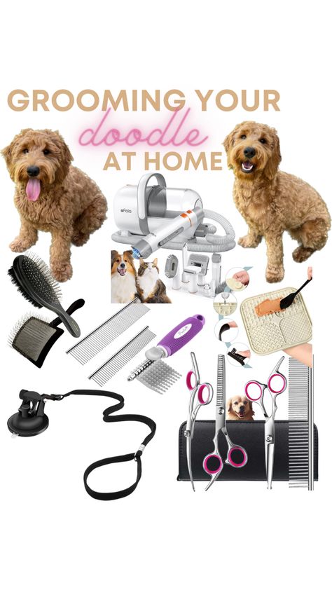 Dog Grooming Equipment, Best Dog Grooming Tools, Grooming Kit Horse, Professional Pet Grooming Vacuum Kit, Dog At Home, Pet Grooming Supplies, Dog Essentials, You Doodle, Service Dog