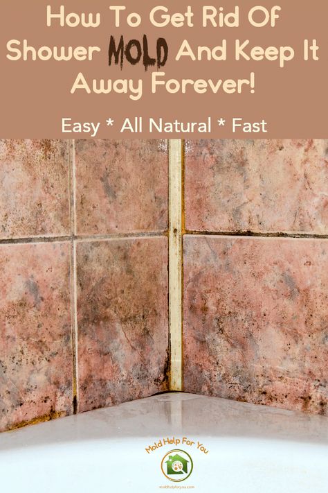 Mold in the shower? It happens often. But it doesn’t have to. Learn how to get rid of mold in the shower fast and for good. I will also show you how to remove mold from shower caulking and grout quickly. #mold #toxicmold #blackmold #indoormold #removemold #killmold #cleanmold #preventmold #moldprevention #showermold #moldspray From MoldHelpForYou.com Black Mold In Shower, Remove Mold From Shower, Diy Mold Remover, Clean Black Mold, How To Remove Mold, Shower Mold, Mold Prevention, Clean Hacks, Shower Cleaning