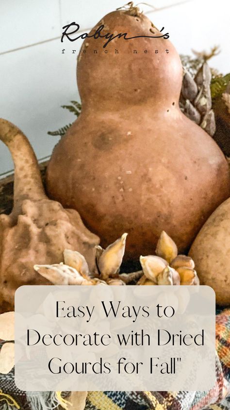 Decorating With Gourds For Fall, How To Dry Gourds, Dried Gourds, Dough Bowl Centerpiece, Fall Gourds, Vintage Fall Decor, Fall Acorns, Decorative Gourds, Fun Pumpkins