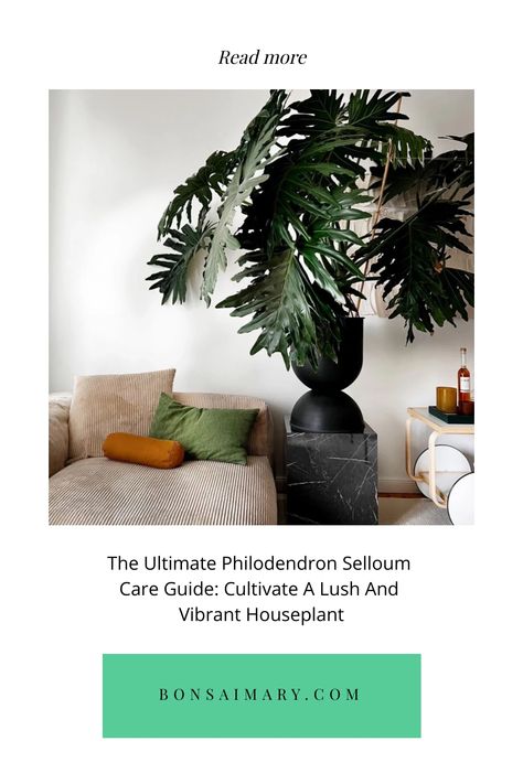 Embark on a journey to transform your space into a lush haven with "The Ultimate Philodendron Selloum Care Guide." From unlocking the secrets of vibrant foliage to tailored care tips, this article is your passport to cultivating a thriving Philodendron Selloum. Dive in now to discover the art of plant parenthood, and click to read the full guide—follow us for an abundance of green inspiration! Green Inspiration, Lush, House Plants, Green, Plants