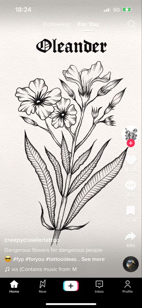 Poison Flowers Drawing, Poison Hemlock Tattoo, Poisonous Flower Tattoo, Poisonous Plants Tattoo, Poison Plant Tattoo, Poison Flowers Tattoo, White Oleander Tattoo, Poisonous Plant Tattoo, Oleander Flower Tattoo