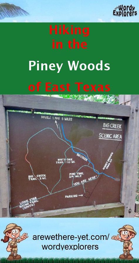 East Texas Road Trip, Texas Camping, Livingston Texas, Texas Hikes, Texas Camping Spots, Hiking In Texas, Rv Travel Destinations, Hiking Places, Cold Spring