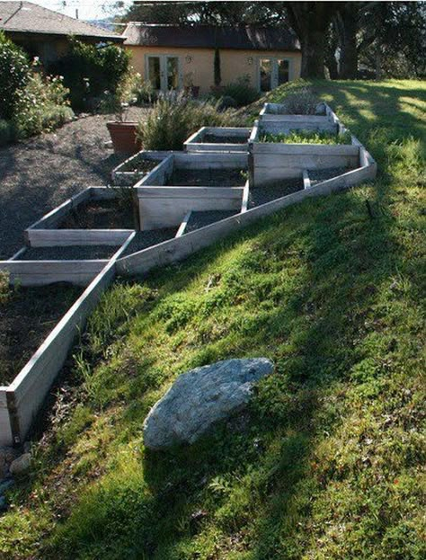 Raised Vegetable Gardens, Sloped Yard, Hillside Garden, Sloped Backyard, Vegetable Bed, Hillside Landscaping, Sloped Garden, Veg Garden, Have Inspiration