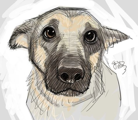 Keeping up with sketching. Puppy Drawing, Couple Drawing, 강아지 그림, Drawing Faces, Sketchbook Art, Art Et Illustration, Puppy Eyes, Animal Sketches, Art And Illustration