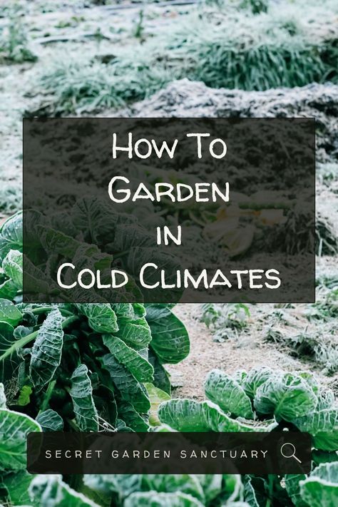 Discover the secrets of year-round gardening in a four-season climate with expert tips and techniques. From winter vegetable gardening to greenhouse wonders, we'll show you how to keep your plants thriving in every season. Explore the joys of nurturing happy and healthy perennials throughout the year and unlock the wonders of sustainable gardening. Don't let the cold scare you, join us on this green journey and cultivate a vibrant garden all year long! Winter Vegetable Gardening, Cold Climate Gardening, Winter Vegetable, How To Garden, Winter Vegetables Gardening, Sustainable Gardening, Gardening Plants, Plants Garden, Sustainable Garden