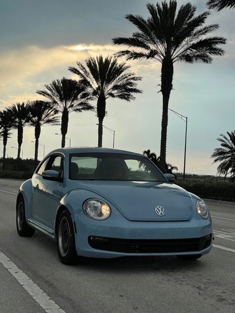 Buggy Volkswagen, Beetle Volkswagen, Buggy Car, Punch Buggy, Vw Beetle Aesthetic, 2012 Vw Beetle, Beetle Car Aesthetic, Bug Car Aesthetic, Blue Punch Buggy