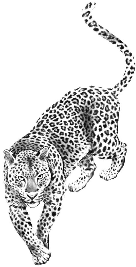 Tattoo Ideas Jaguar, Jaguar Tattoo For Women, Cheetah Tattoo For Women, Blatt Tattoos, Cheetah Tattoo, Cute Tattoo Ideas, Leopard Tattoo, Maching Tattoos, Dragon Tattoo Ideas