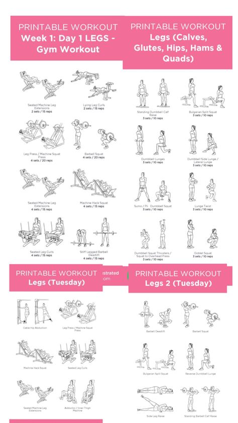 Lying Leg Curls, Workout Split, Squat Press, Leg Press Machine, Leg Machines, Barbell Squat, Lateral Lunges, Workout Splits, Bulgarian Split Squats