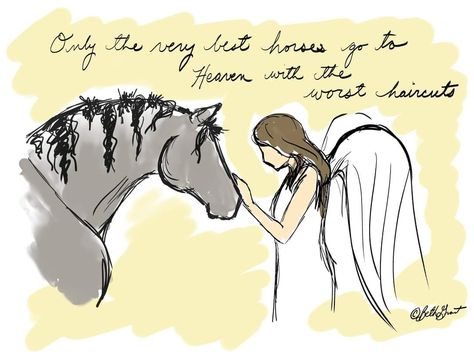 Horse Shadow Box, Horse Remembrance, Worst Haircuts, Horse Memory, Western Aesthetic Wallpaper, Angel Heaven, Good Happy Quotes, Die Quotes, Horse Memorial