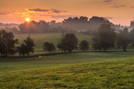 Kentucky Horse Farms, Southern Aesthetic, Pretty Nature Pictures, Racing Horse, Cottage Aesthetic, Watercolour Inspiration, Dream Cottage, Forest Painting, Beautiful Sights