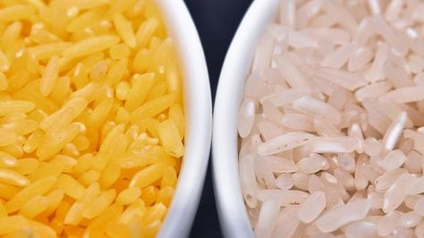 How science aims to feed seven billion people Golden Rice, Rice Plant, Saffron Rice, Gmo Foods, Rice Varieties, Sources Of Vitamin A, Rice Grain, Beta Carotene, White Rice