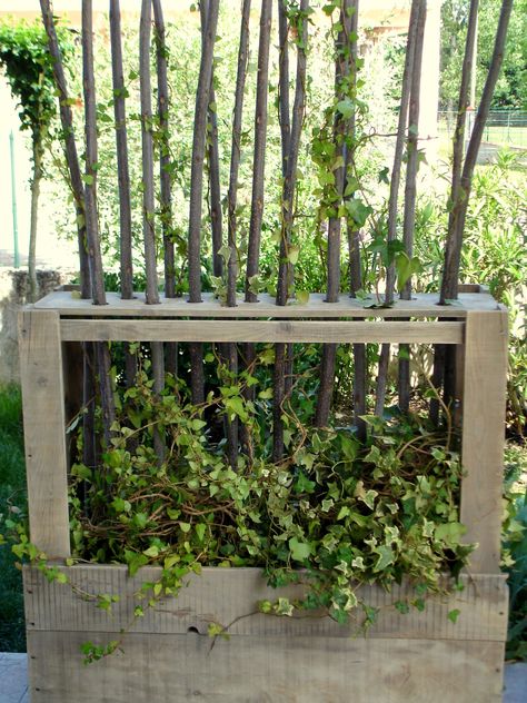 Pallet Screen, Backyard Herb Garden, Diy Gutters, Vertical Pallet Garden, Herb Garden Pallet, Gutter Garden, Screen Plants, Gardens Ideas, Pallet Projects Furniture