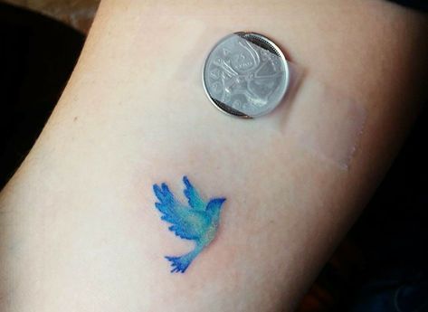 Watercolor Bluebird Tattoo, Small Blue Bird Tattoos For Women, Bluebird Tattoo Small Simple, Tiny Blue Bird Tattoo, Small Blue Bird Tattoo, Small Bluebird Tattoo, Blue Bird Tattoos For Women, Bluejay Tattoo, Lovebird Tattoo