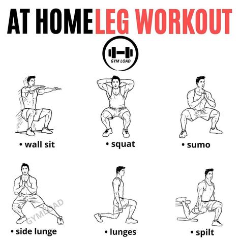 Healthy Physique, Muscle Gain Workout, Workouts Women, Gym For Beginners, Best Leg Workout, Leg Workout At Home, Best Workout Plan, Dumbell Workout, Fitness Facts