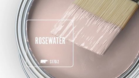 ROSEWATER S170-2 | Behr Paint Colors Rose Gold Behr Paint, Heirloom Rose Behr Paint, Boutique Interior Paint Colors, Pink Interior Paint Colors, Behr Light Pink Paint Colors, Behr Vintage Charm, Behr Soft Pink Paint Colors, Antique Rose Paint Color Magnolia Home, Brown Pink Paint Colors