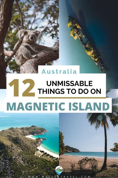 This contains: Magnetic Island Australia Tourist Attractions, Magnetic Island, World Of Wanderlust, Australian Wildlife, Beautiful Travel Destinations, Secluded Beach, Instagrammable Places, Top Travel Destinations, Happy Travels