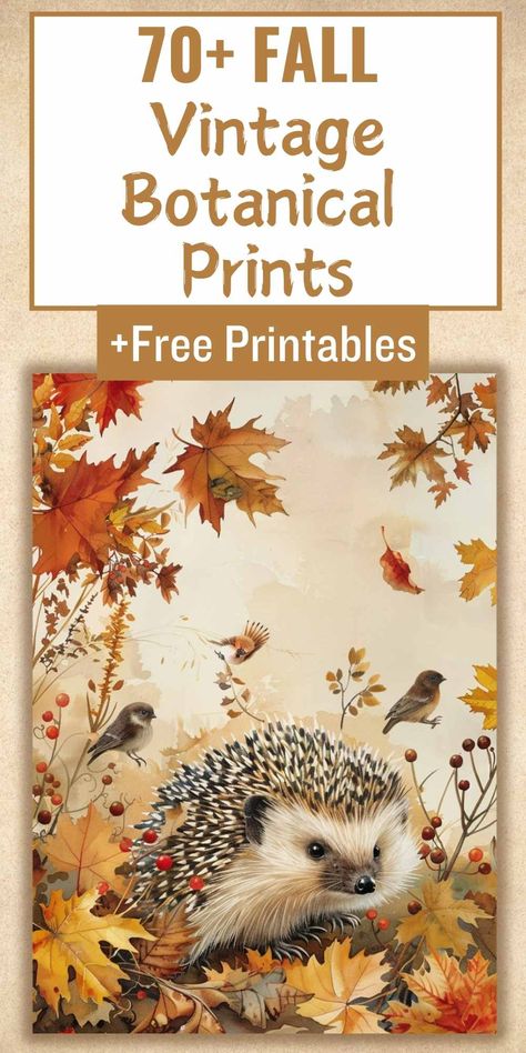 Transform your home into an autumn haven with these 70+ FREE printable vintage fall botanicals! Perfect for wall art, junk journals, card making, and more. Embrace the cozy vibes of fall with these timeless prints. #vintagefall #botanicalprints #freeprintables #falldecor #junkjournal #cardmaking #DIYdecor #autumnvibes #printablewallart Fall Gnome Printables Free, Autumn Wall Decorations, Free Fall Art Printables, Fall Stencils Free Printable, Fall Prints Artwork, Autumn Pictures Art, Fall Printables Free Autumn, Free Autumn Printables, Fall Printables Free