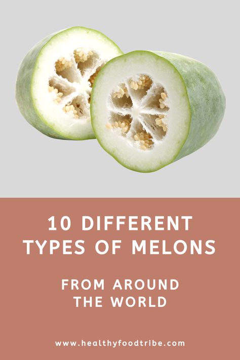 10 Most Popular Types of Melons From Around the World Types Of Melons, Juicy Watermelon, Bitter Melon, Fun Fall Activities, Types Of Fruit, Fall Activities, Autumn Activities, South Asia, Fall Fun