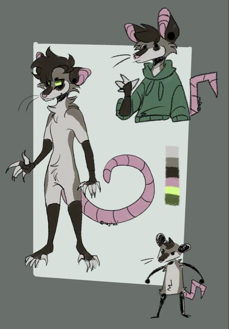 Anthro Possum, Opposum Fursona, Cool Fursona, Manokit Art, Opossum Fursona, Possum Fursona, Fursona Base, Anthropomorphic Ideas, Rat Character