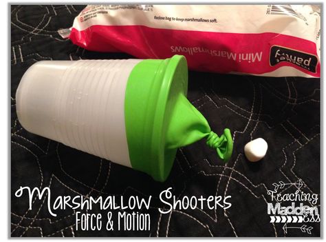 Marshmallow Shooters {Force Force Activities, Motion Activities, Second Grade Science, 1st Grade Science, First Grade Science, Primary Science, Third Grade Science, Science Teacher Gifts, 4th Grade Science