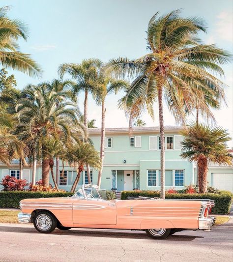 Tropical Retro Aesthetic, Retro Florida Aesthetic, Vintage Miami Aesthetic, Old Florida Aesthetic, Vintage Florida Aesthetic, Vintage Florida Decor, Vintage Tropical Art, Vintage Vibes Aesthetic, Vintage Beach Posters